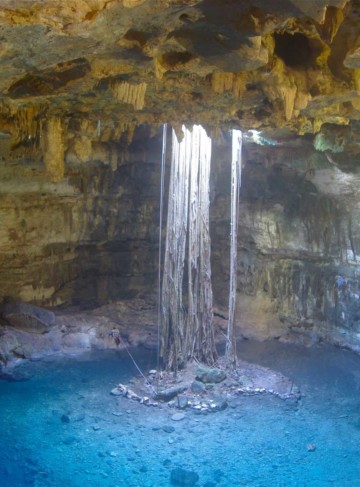 https://yucatan.travel/wp-content/uploads/2019/12/5295079072_893fd48a96_o-360x487.jpg