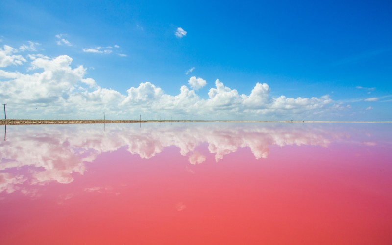 https://yucatan.travel/wp-content/uploads/2019/12/AdobeStock_143793092-scaled-800x500.jpeg