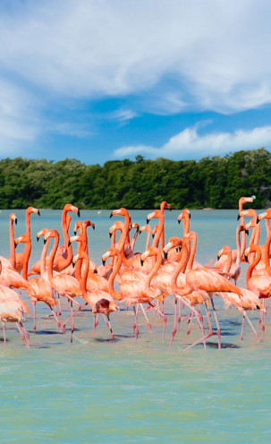 Riviera Yucatán