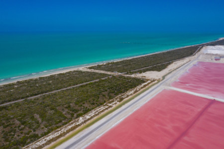 https://yucatan.travel/wp-content/uploads/2019/12/Rio-Lagartos-Las-Coloradas-6-scaled-450x300.jpg