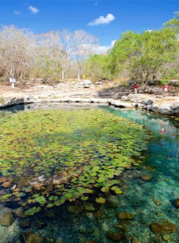 https://yucatan.travel/wp-content/uploads/2019/12/arton2391-360x487.jpg