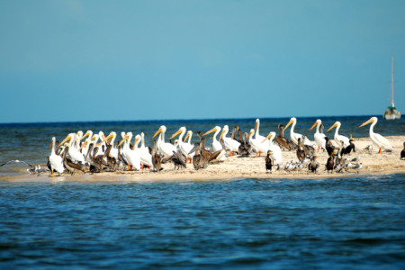 https://yucatan.travel/wp-content/uploads/2020/03/Dzilam-de-Bravo-dzilam1-450x300.jpg