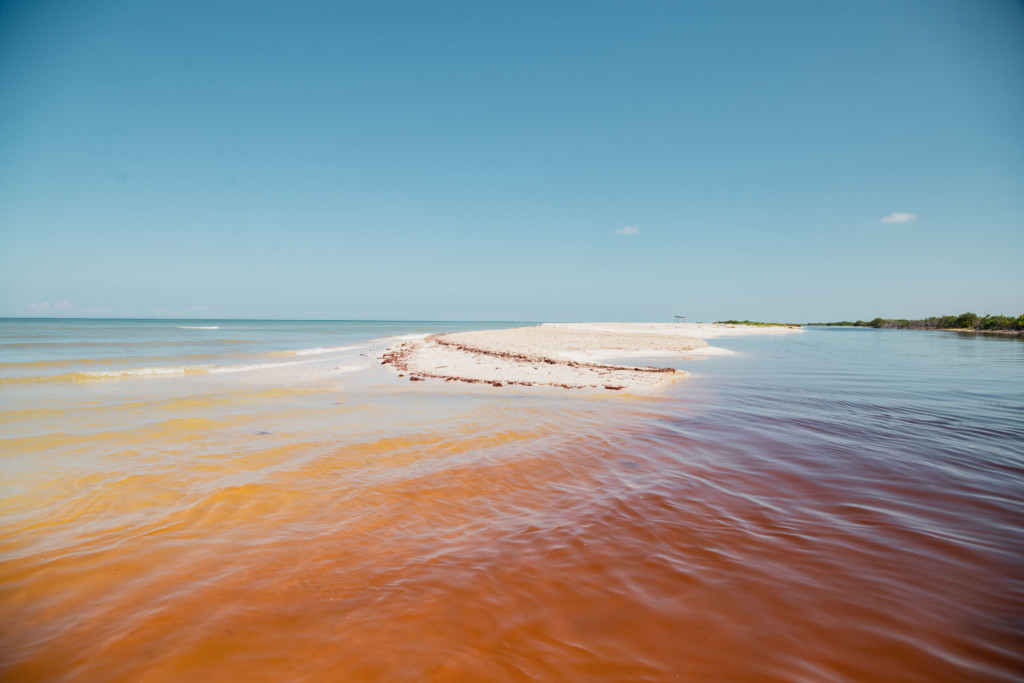 Yucatán - Sol y playa - Playa de Sisal | Yucatán.Travel