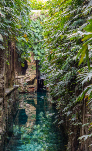 Cenote y Hacienda Mucuyché