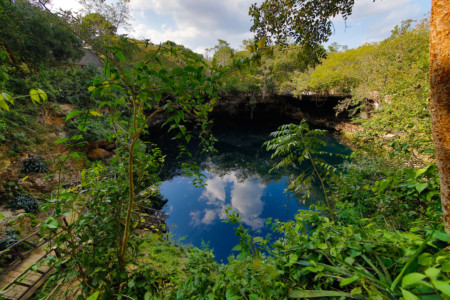 https://yucatan.travel/wp-content/uploads/2020/05/KIKIL-TIZIMIN-14-450x300.jpg