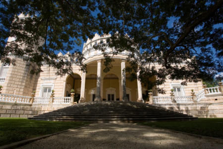https://yucatan.travel/wp-content/uploads/2020/06/San-Antonio-Millet-4-450x300.jpg