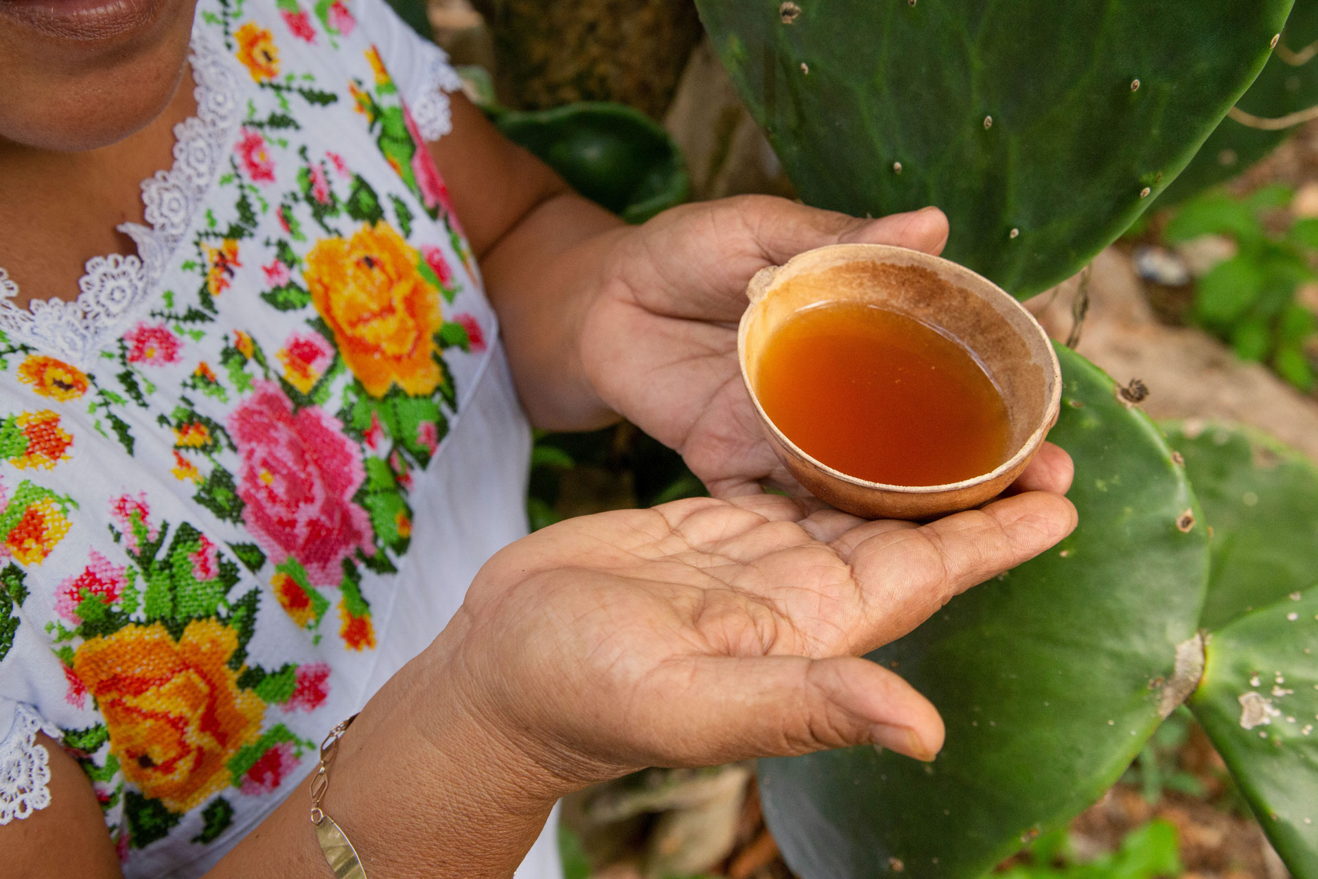 365 Sabores en Yucatán - No. 356 Balché Drink for Rituals and Ceremonies