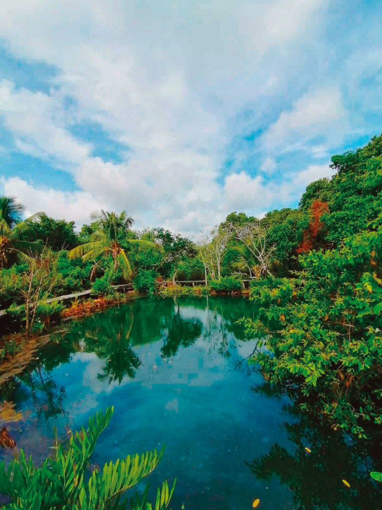 Yucatán - No. 144 Cenote Kambulnah | Yucatán.Travel
