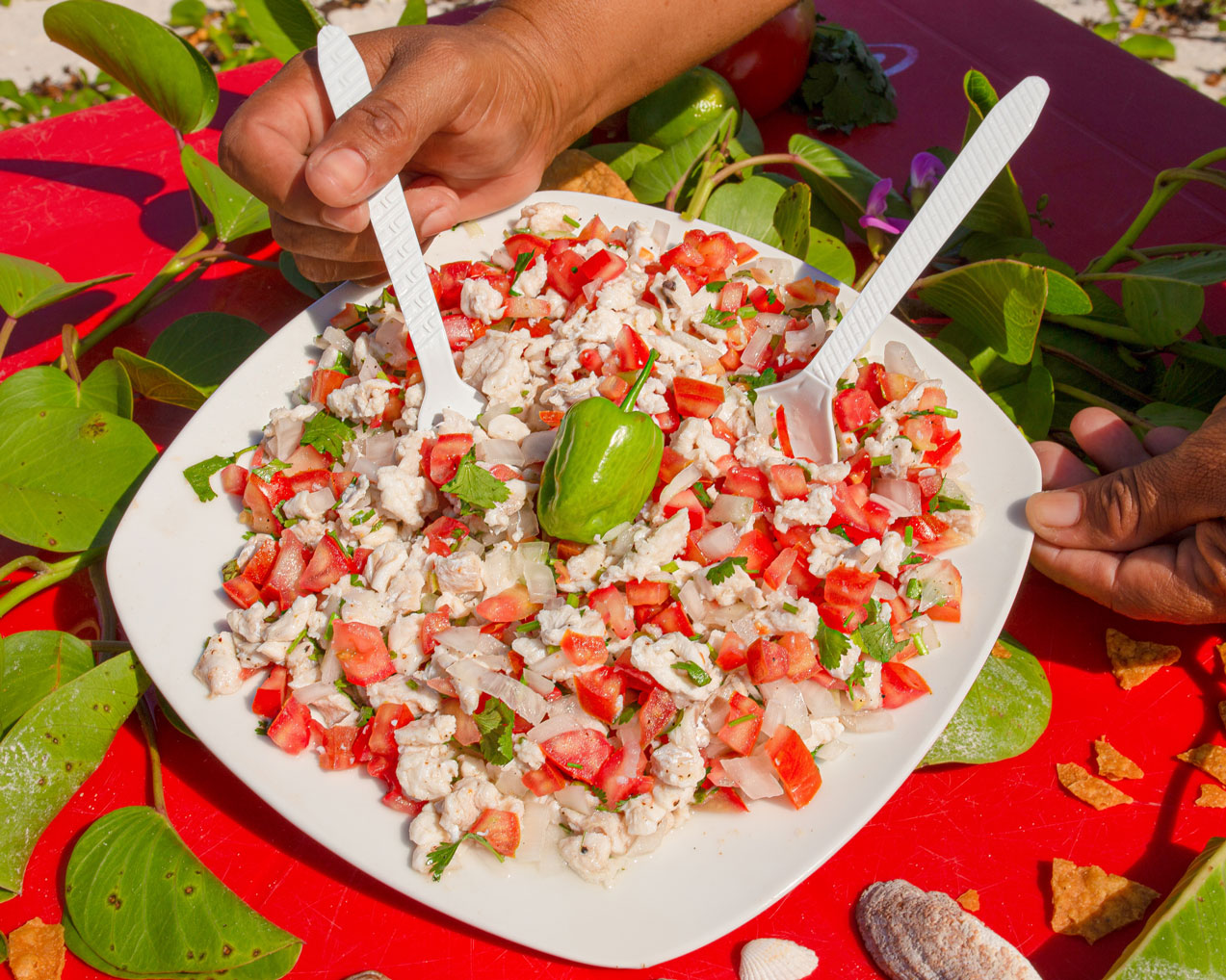 365 Sabores en Yucatán - No. 187 Ceviche de mero en la costa yucateca