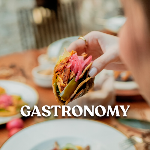 https://yucatan.travel/wp-content/uploads/2023/09/Gastronomia-500x500.png