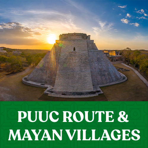 https://yucatan.travel/wp-content/uploads/2023/09/Ruta-Puuc-500x500.png