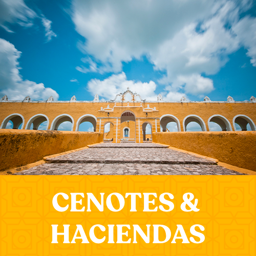 https://yucatan.travel/wp-content/uploads/2023/09/Yucatán-Cenotes-500x500.png