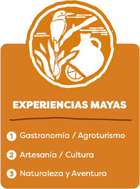 //yucatan.travel/wp-content/uploads/2023/10/Experiencias-mayas-V2.png