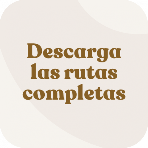 https://yucatan.travel/wp-content/uploads/2025/06/rutas-completas-500x500.png